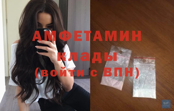 прущие грибы Осинники