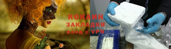 прущие грибы Пестово