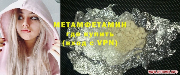 прущие грибы Пестово