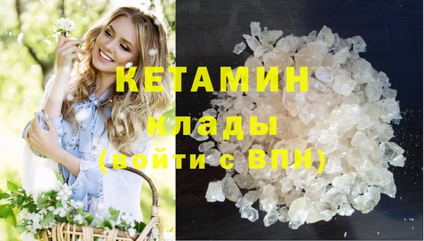 прущие грибы Пестово