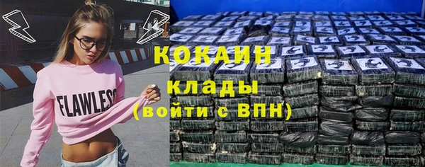 прущие грибы Пестово