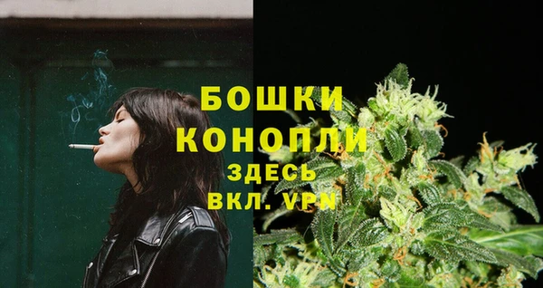 прущие грибы Пестово