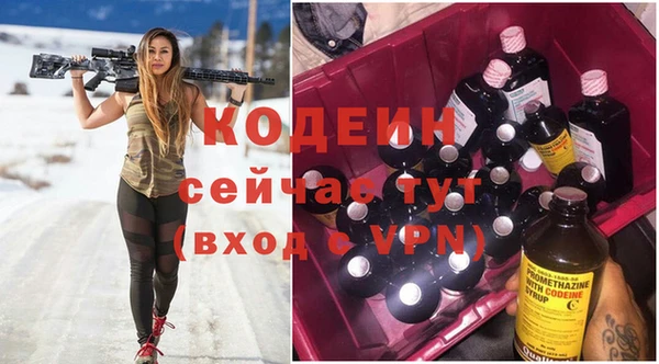 прущие грибы Пестово