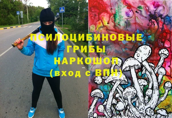 прущие грибы Пестово