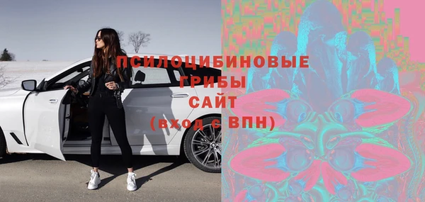 прущие грибы Пестово