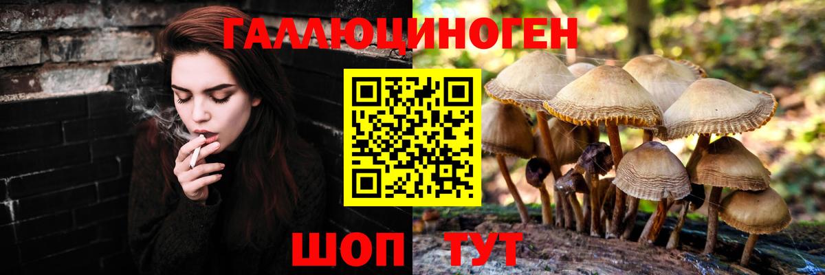 Полысаево  где купить наркоту  Вход с VPN  Псилоцибиновые грибы MAGIC MUSHROOMS 