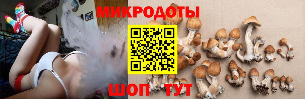 Псилоцибиновые грибы мицелий Полысаево